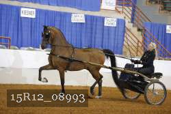15R12_08993 proof