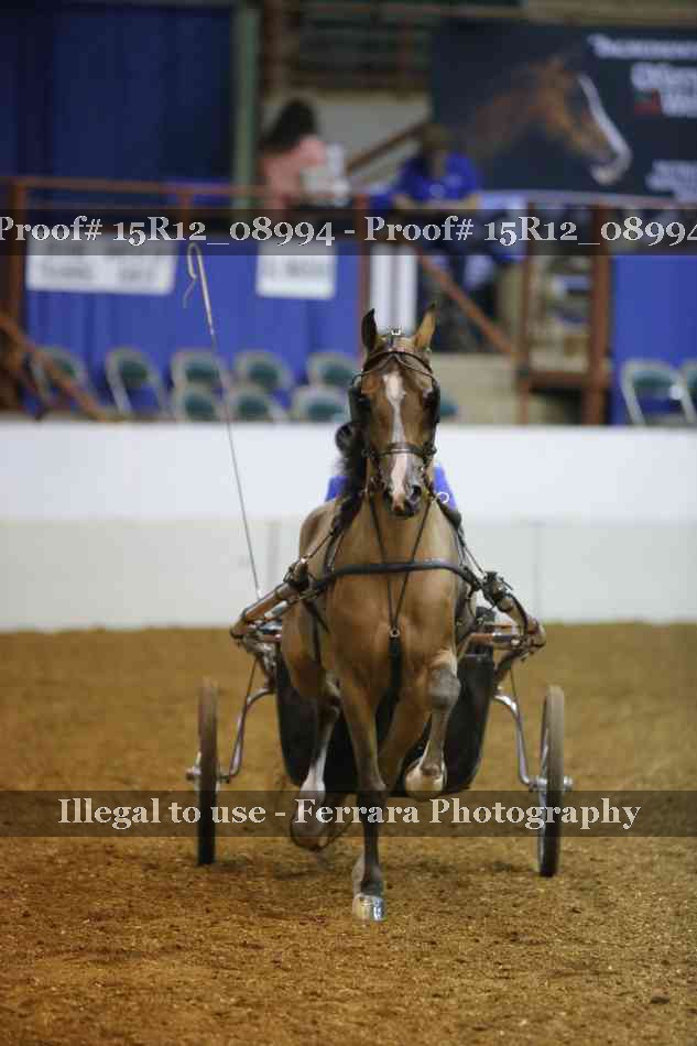 Proof 15R12_08994