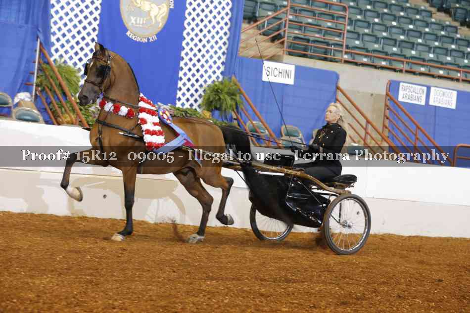 Proof 15R12_09005
