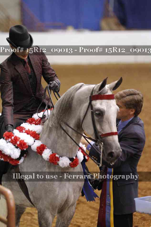 Proof 15R12_09013