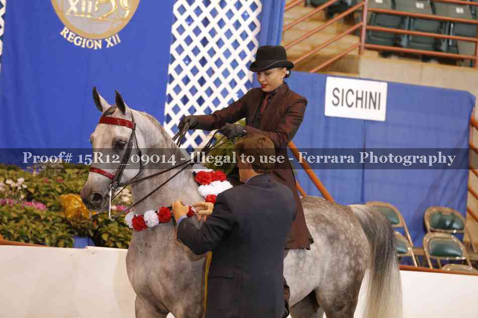 Proof 15R12_09014