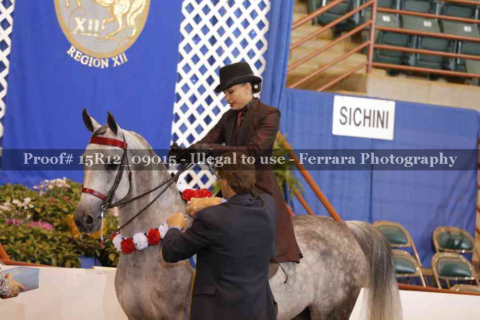Proof 15R12_09015