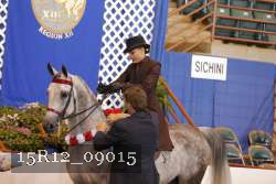 15R12_09015 proof