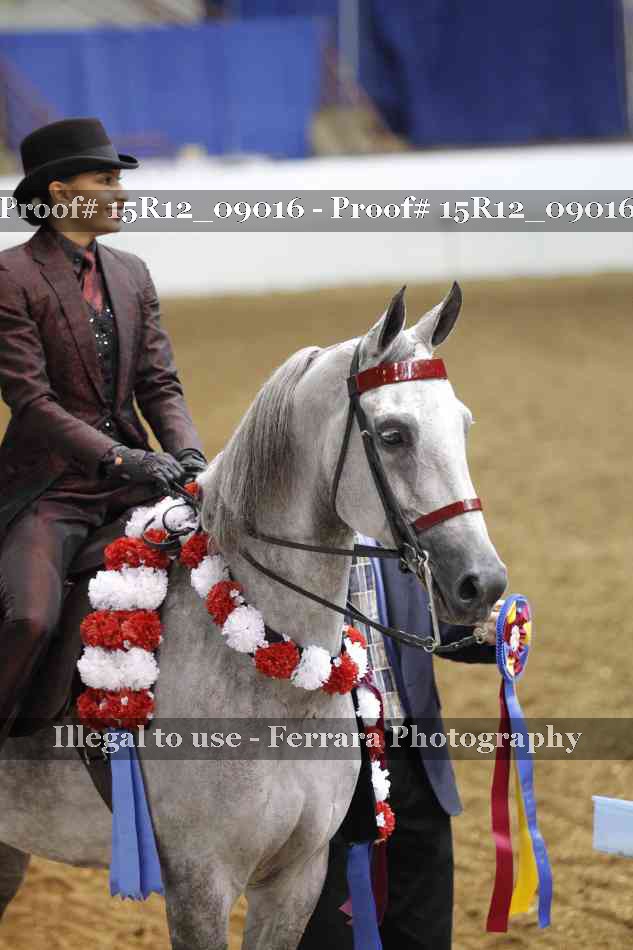 Proof 15R12_09016