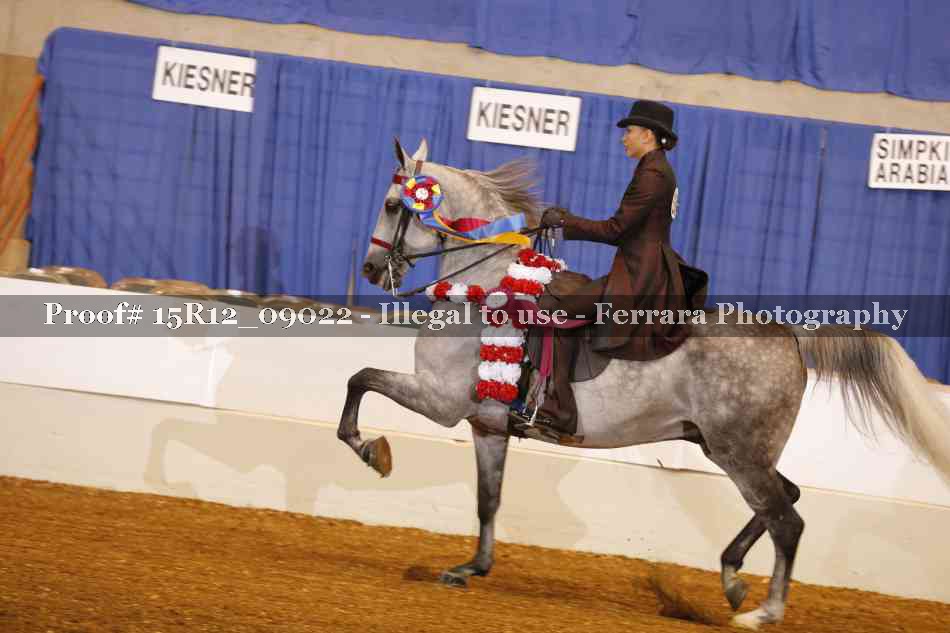 Proof 15R12_09022