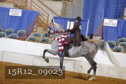 15R12_09023 proof