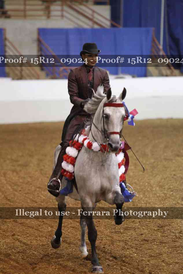Proof 15R12_09024