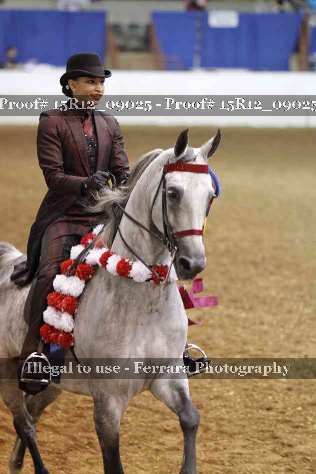 Proof 15R12_09025