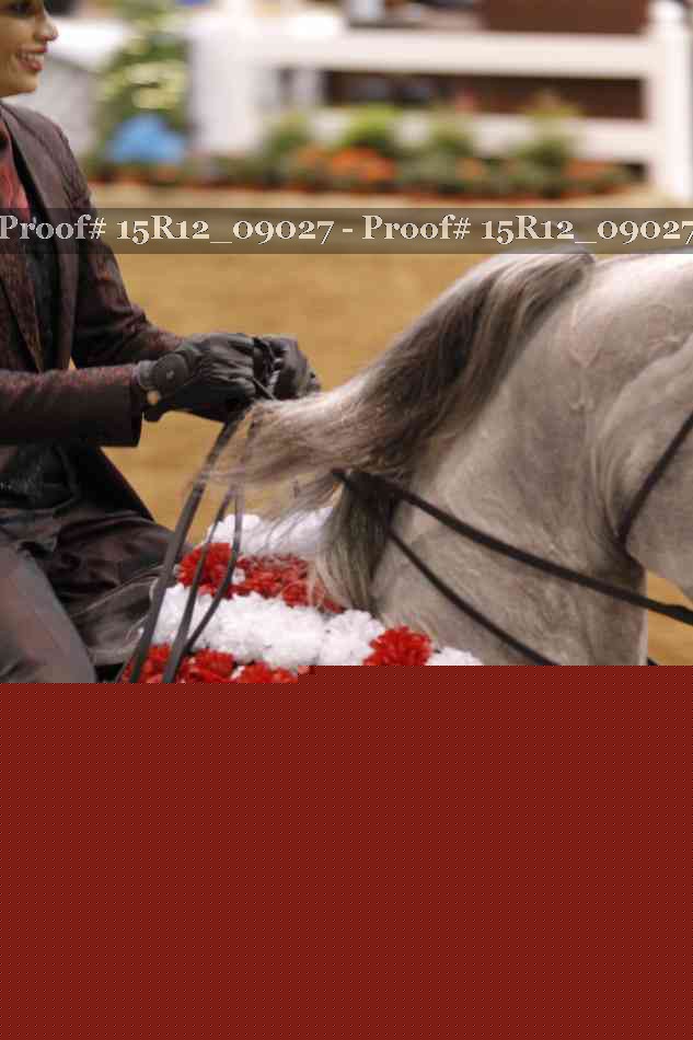 Proof 15R12_09027