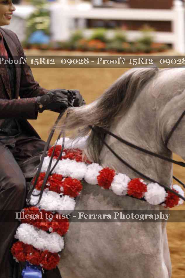 Proof 15R12_09028
