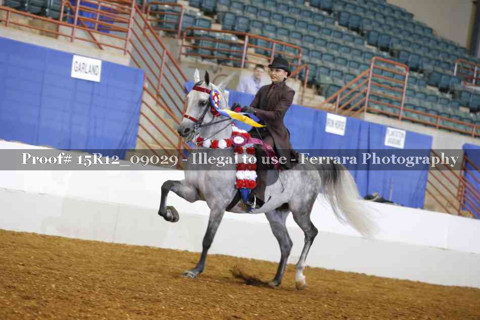 Proof 15R12_09029