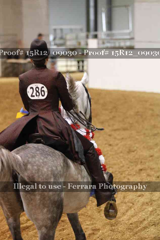 Proof 15R12_09030