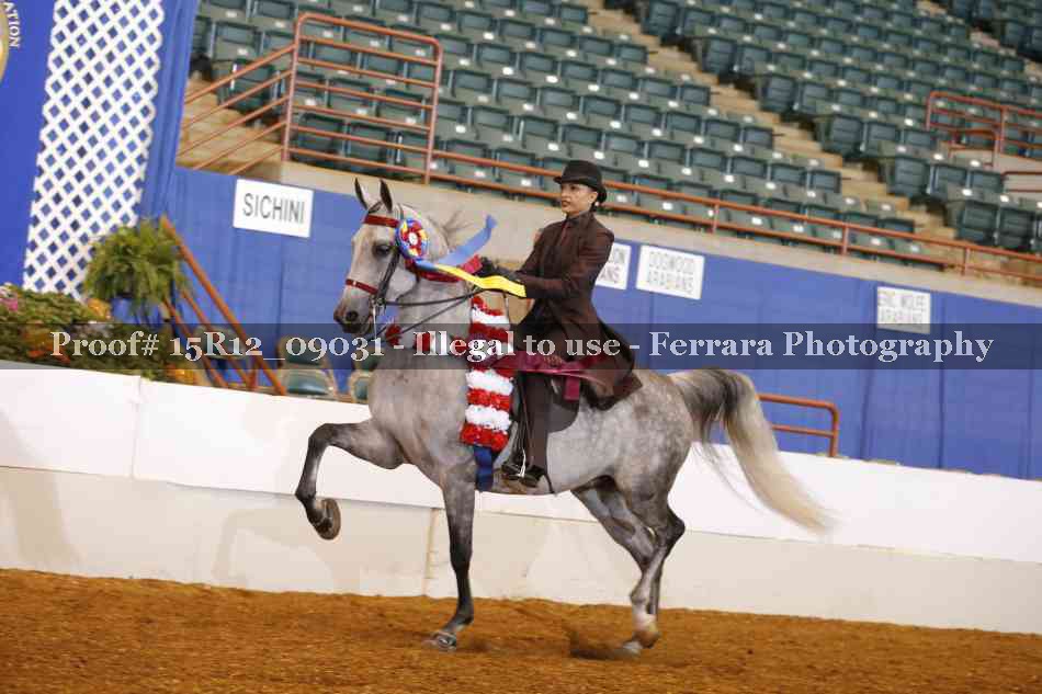 Proof 15R12_09031