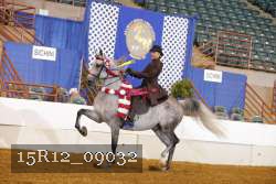 15R12_09032 proof