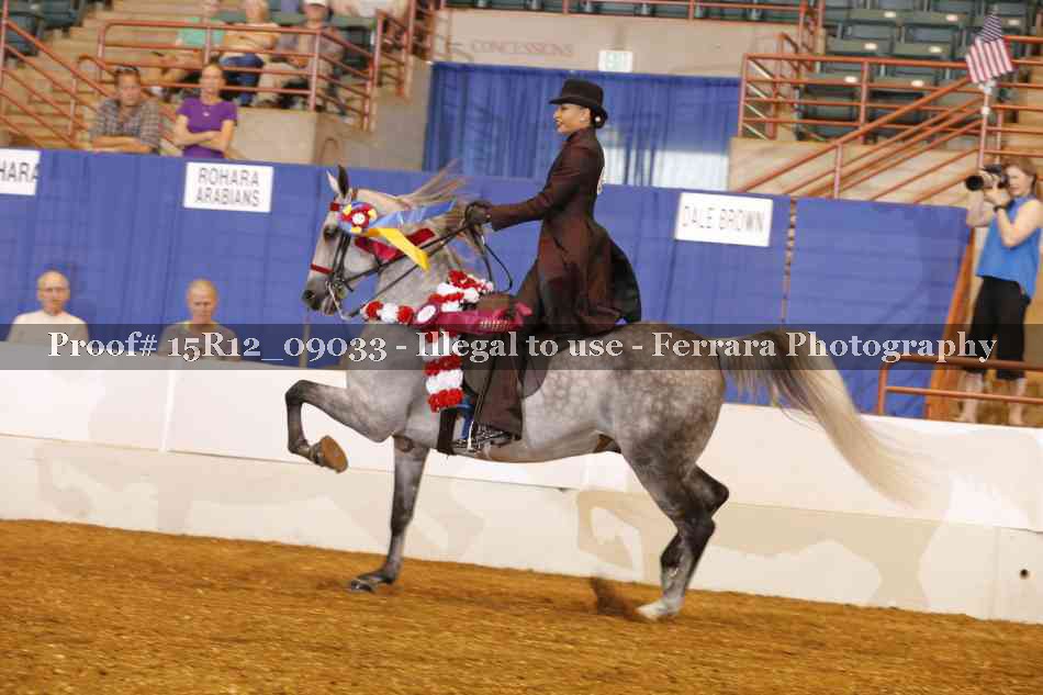 Proof 15R12_09033