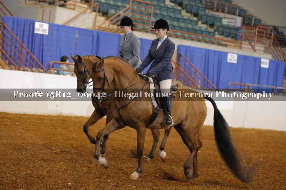 Proof 15R12_09042