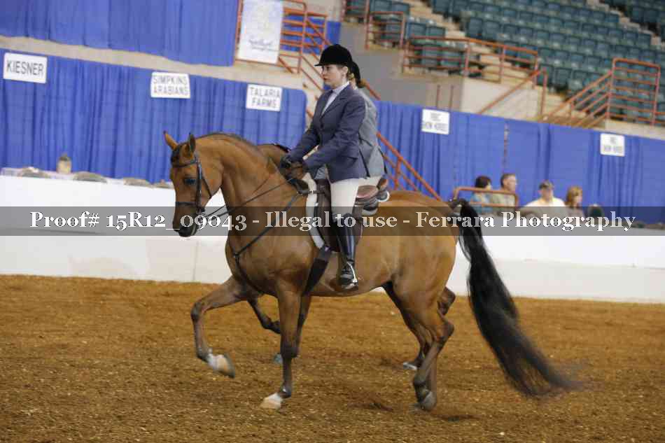 Proof 15R12_09043