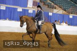 15R12_09043 proof
