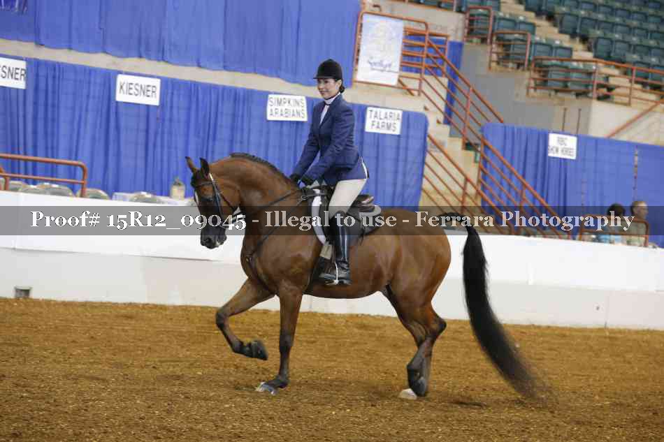 Proof 15R12_09045
