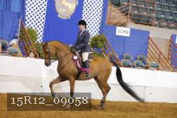15R12_09058 proof