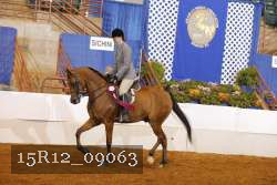15R12_09063 proof