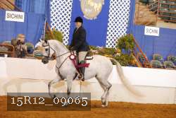 15R12_09065 proof