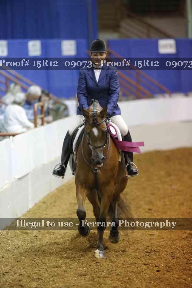 Proof 15R12_09073