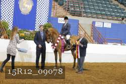 15R12_09078 proof