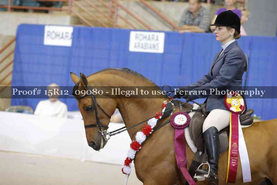 Proof 15R12_09080