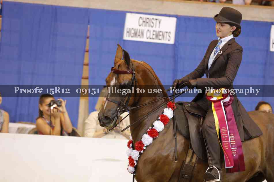 Proof 15R12_09151
