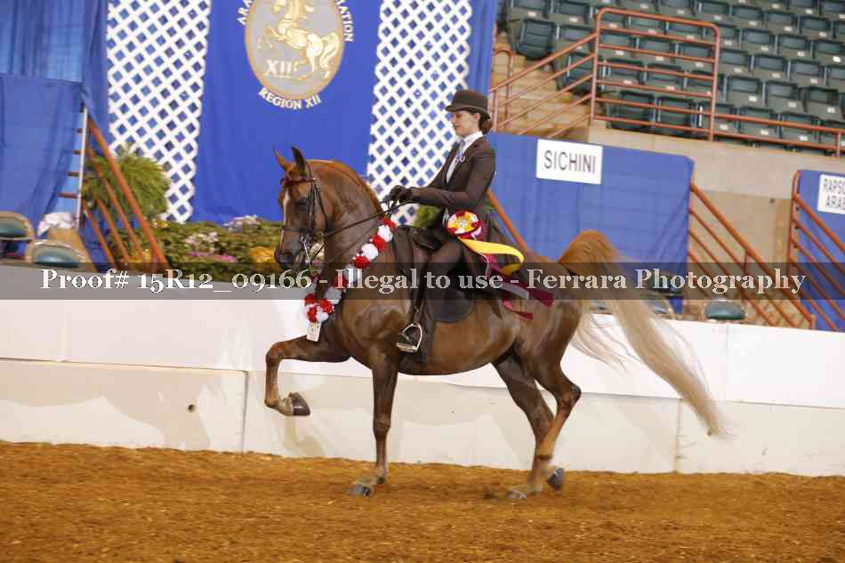 Proof 15R12_09166