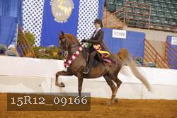 15R12_09166 proof