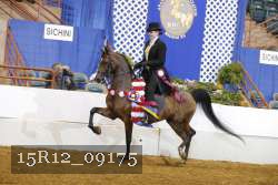 15R12_09175 proof