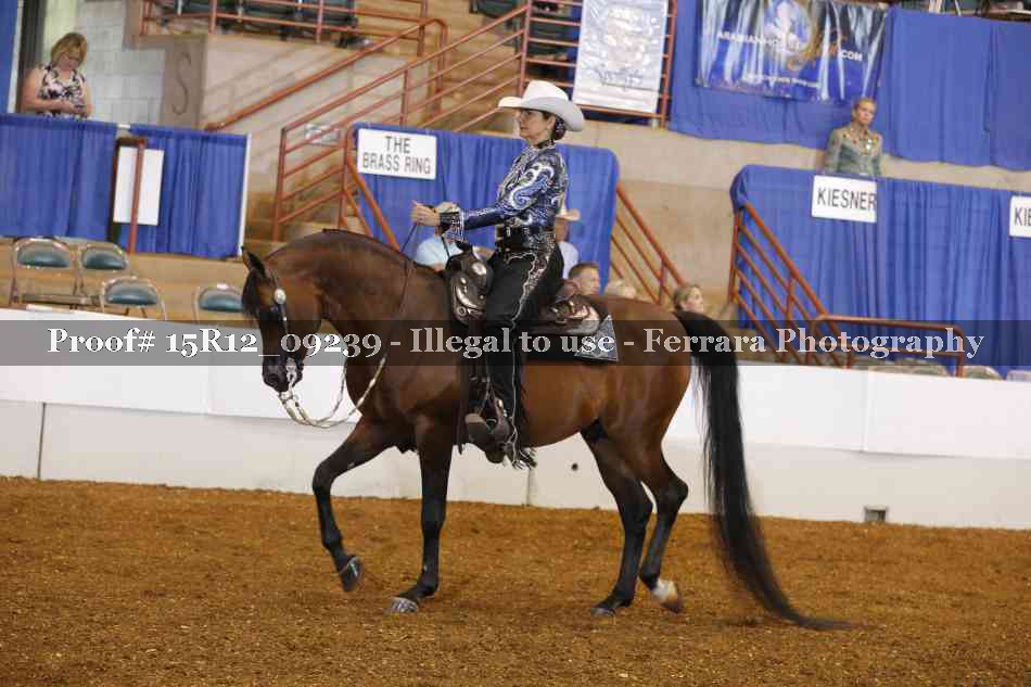 Proof 15R12_09239