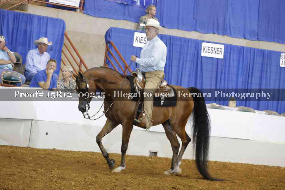 Proof 15R12_09255