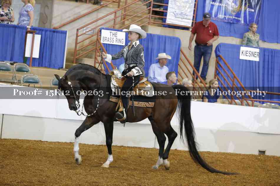 Proof 15R12_09263