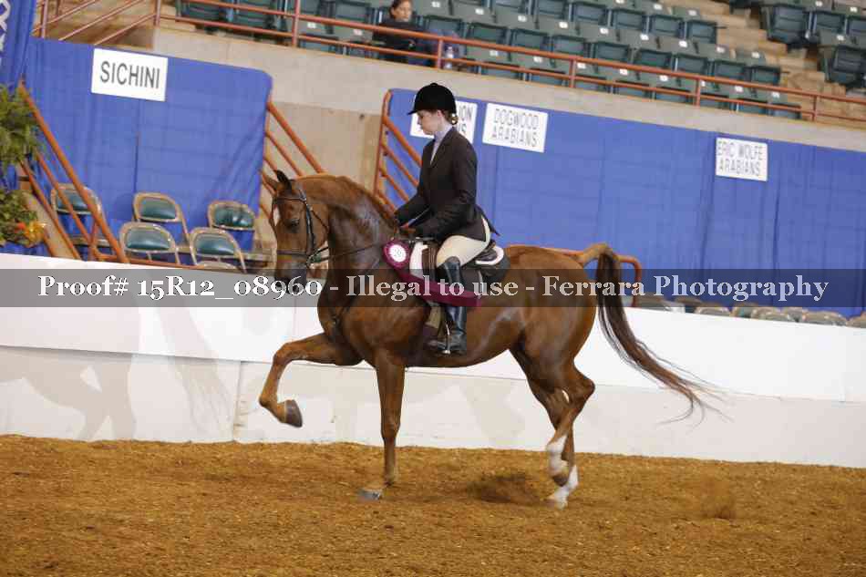 Proof 15R12_08960