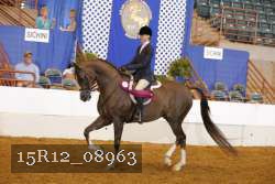 15R12_08963 proof