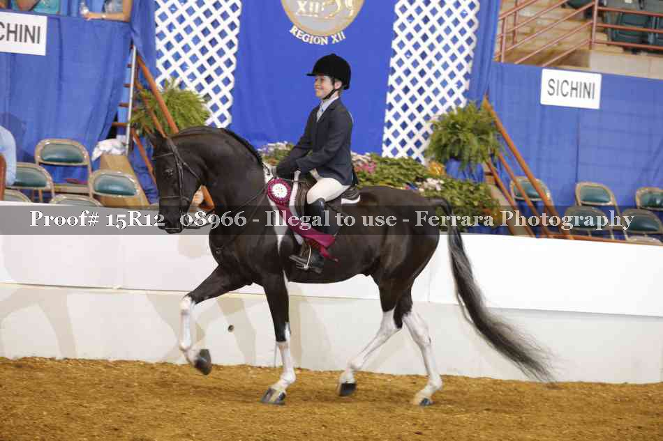 Proof 15R12_08966