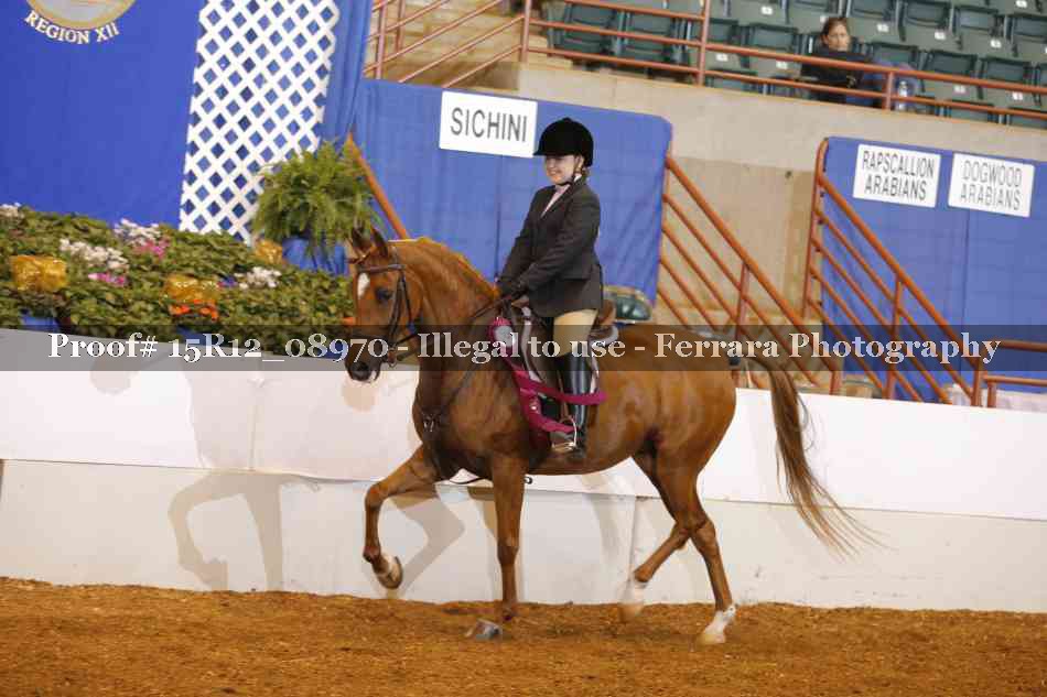 Proof 15R12_08970