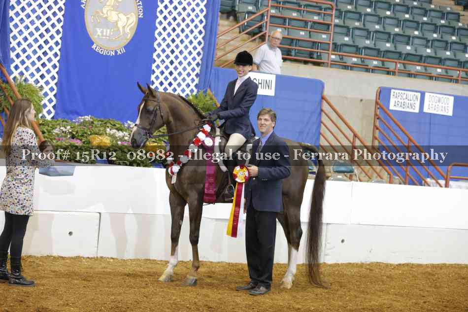 Proof 15R12_08982