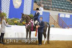 15R12_08982 proof