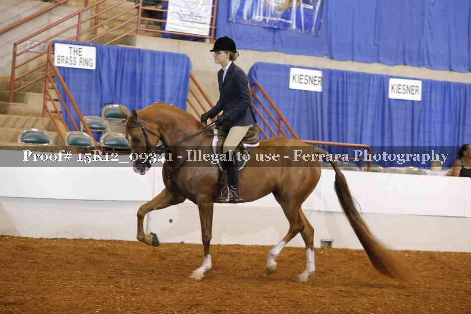 Proof 15R12_09341