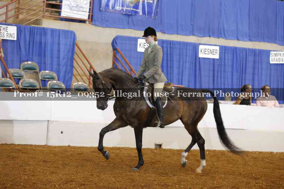 Proof 15R12_09352