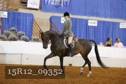 15R12_09352 proof