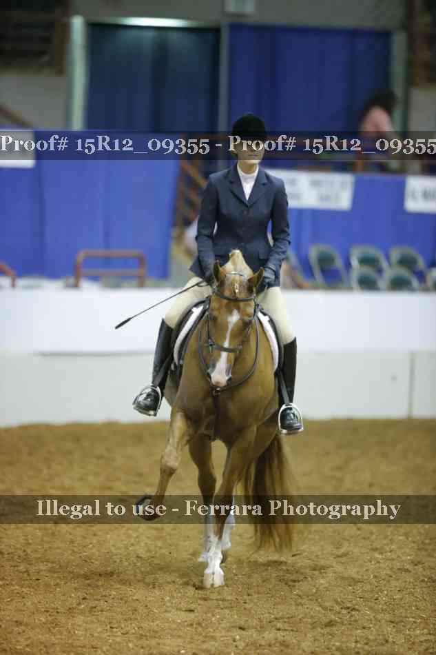 Proof 15R12_09355
