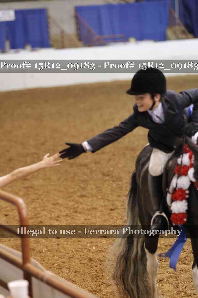 Proof 15R12_09183