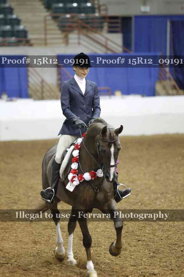 Proof 15R12_09191