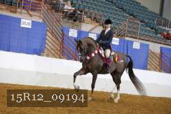 15R12_09194 proof