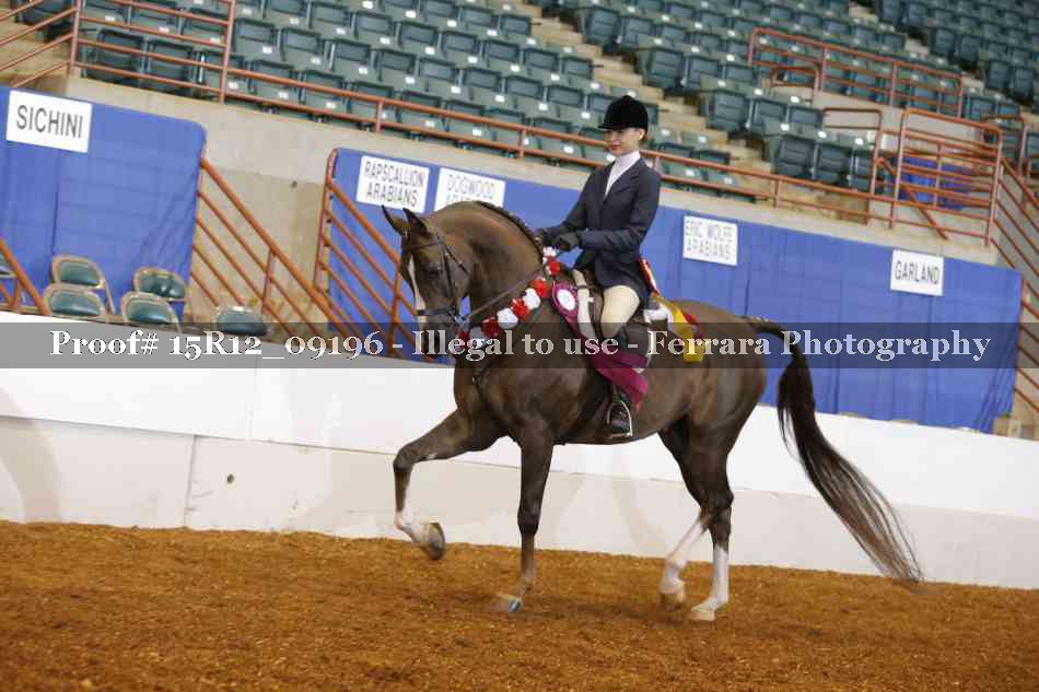 Proof 15R12_09196